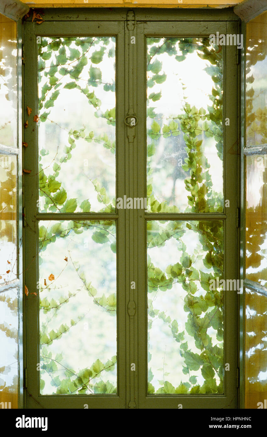 Ein grünes Fenster. Stockfoto