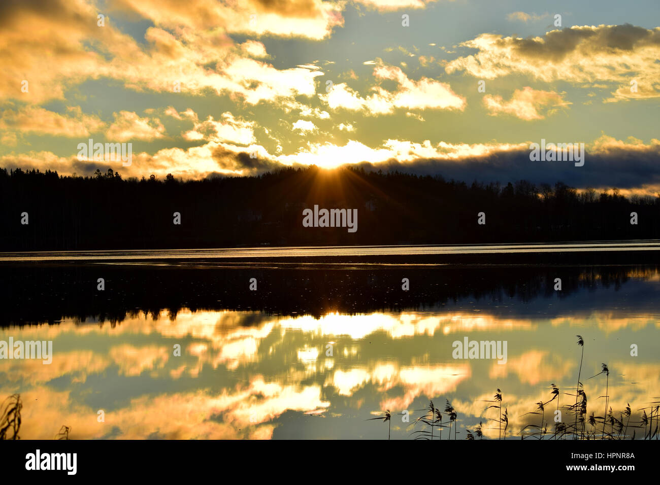 Sonnenaufgang auf dem See. Stockfoto