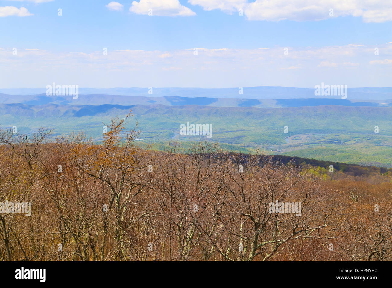 Noch blattlosen Bäume in den Vordergrund und bereits grün der Wälder in den Blue Ridge Mountains gesehen von der Skyline Drive in Virginia. Stockfoto