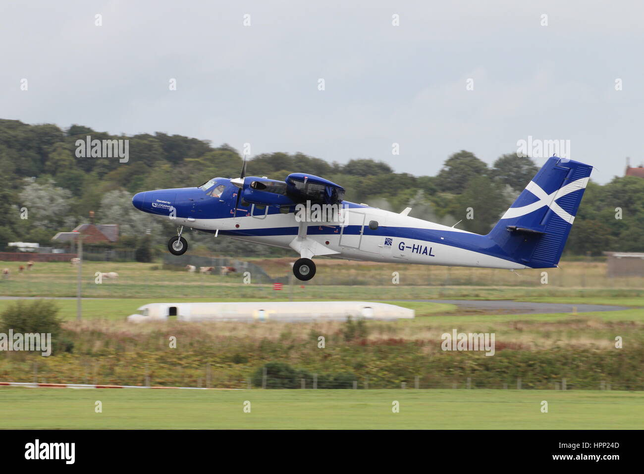 G-HIAL, eine de Havilland DHC-6-400 Twin Otter in Kanada (Viking Air) von Loganair im Auftrag der schottischen Regierung am Flughafen Prestwick betrieben. Stockfoto