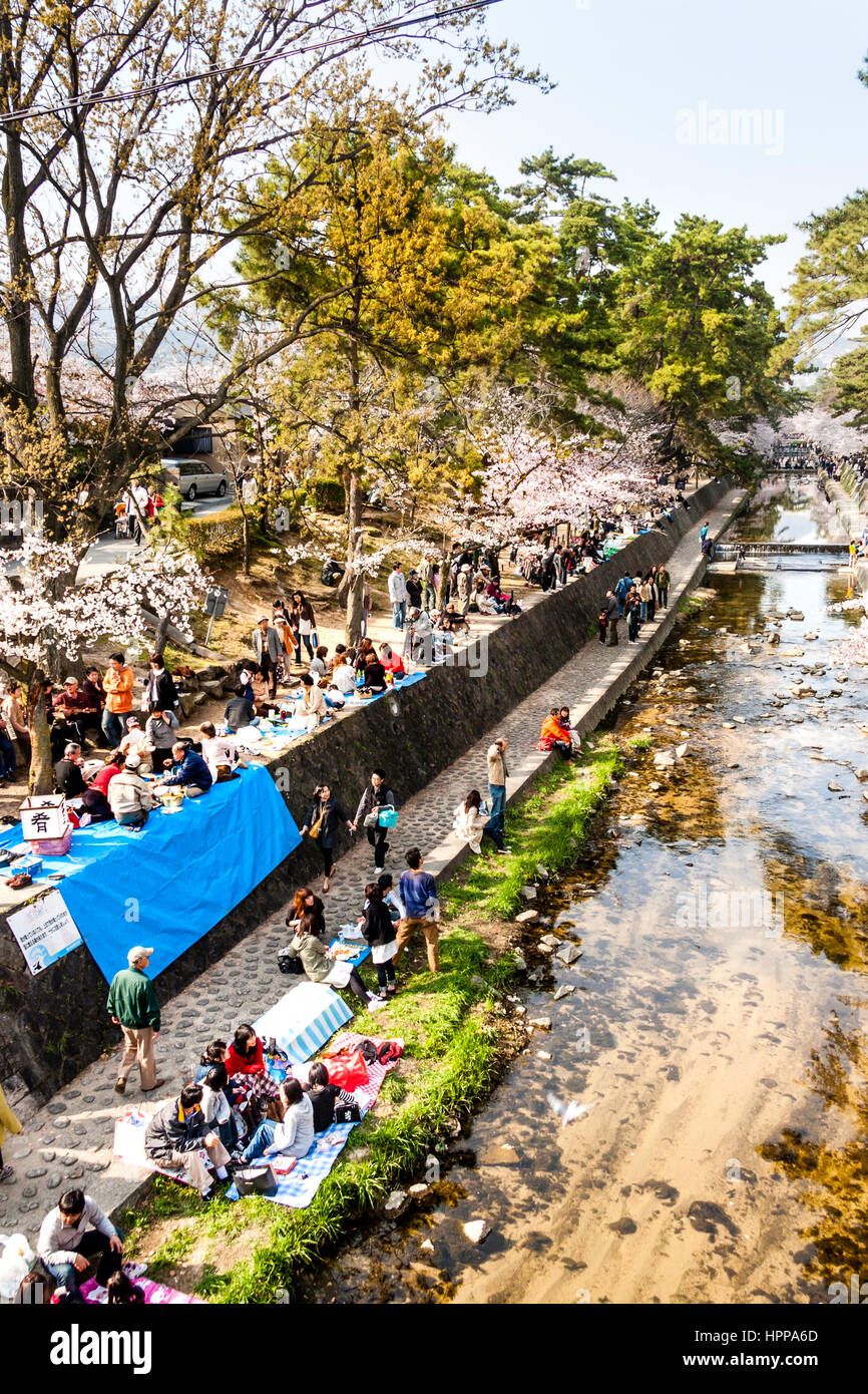Hohen winkel Sicht von Menschen, die Kirschblüte Parteien entlang den Ufern des Flusses Shukugawa in Japan im Frühling. Stockfoto