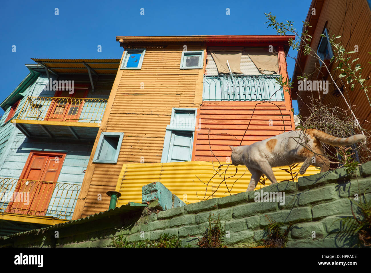 Bunte Haus der La Boca in Buenos Aires, Argentinien - mit umherstreunende Katze vor Sonnenuntergang Stockfoto