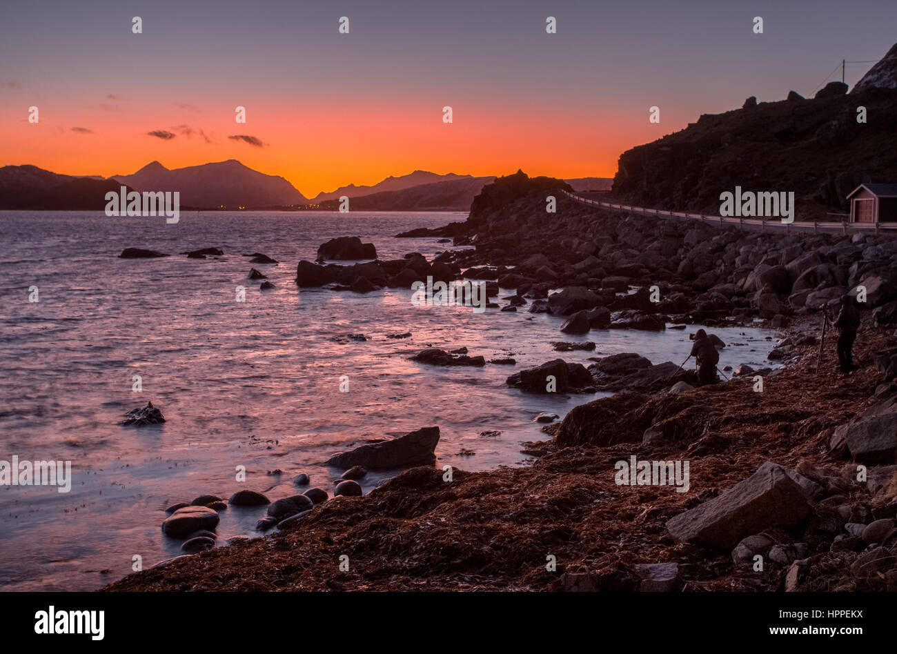 Flakstadoya am Meer, Lofoten Inseln, Norwegen, Europa Stockfoto