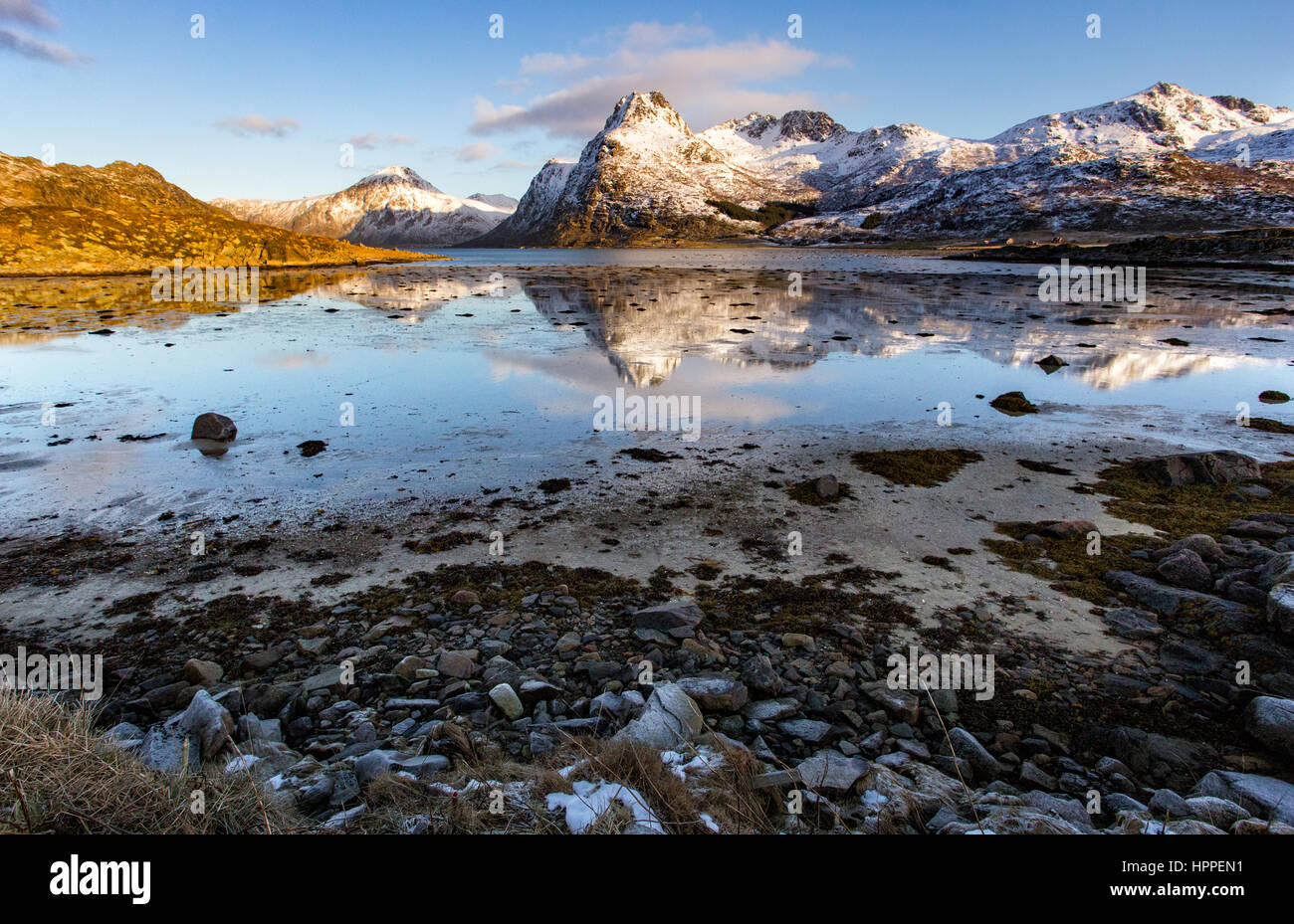 Flakstadoya am Meer, Lofoten Inseln, Norwegen, Europa Stockfoto