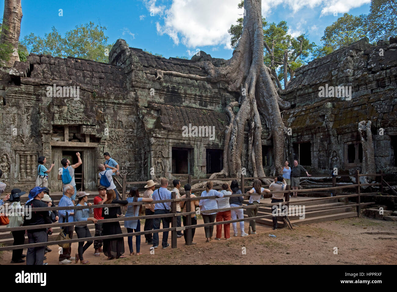 Touristen fotografieren eines Baumes (Tetrameles Nudiflora) bei der Ta Prohm Tempel, wo die Wurzeln durch und um das Gebäude herum wachsen. Stockfoto