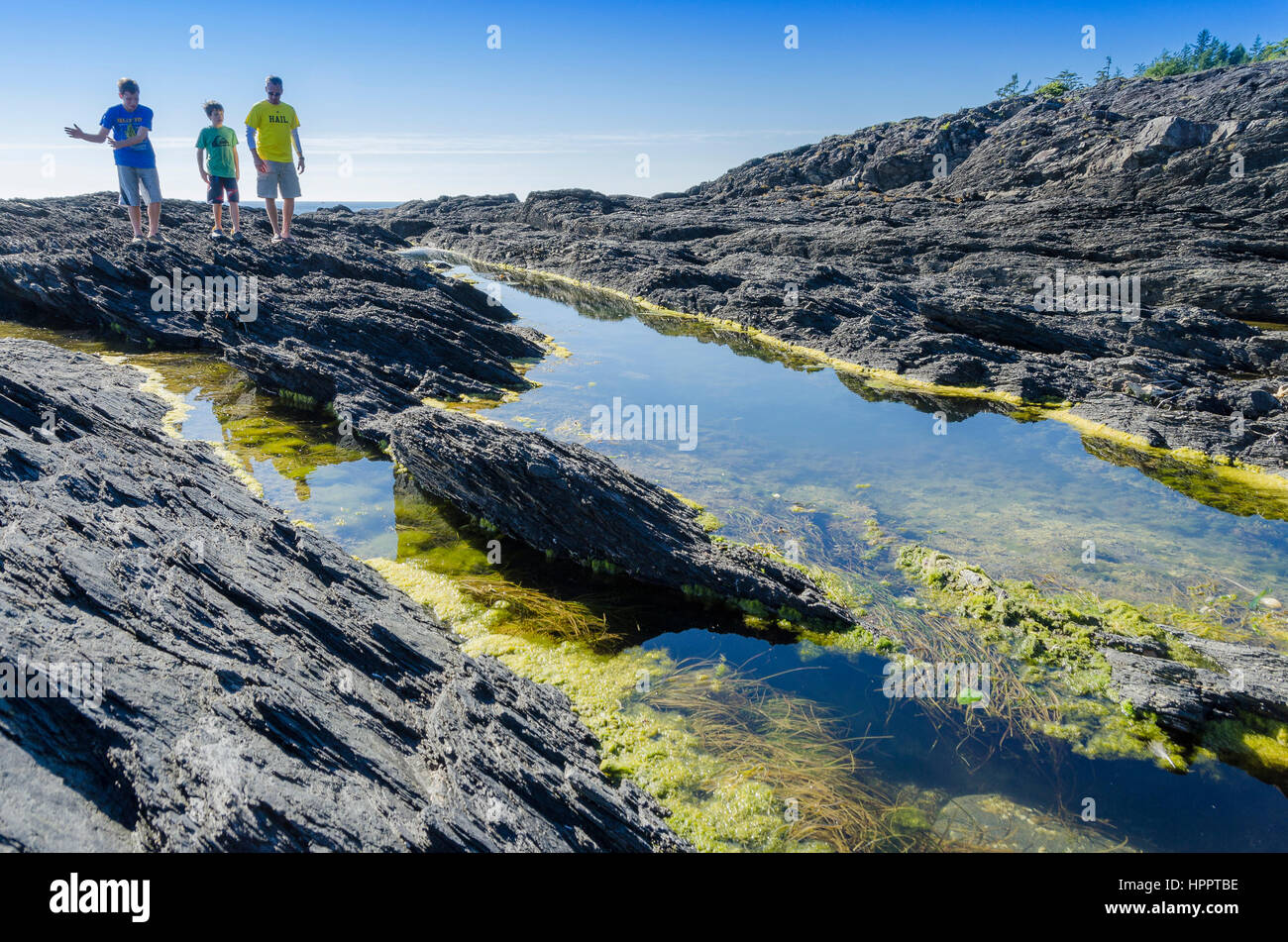 Botanical Beach, Juan de Fuca Provincial Park, Vancouver Island, British Columbia, Kanada Stockfoto