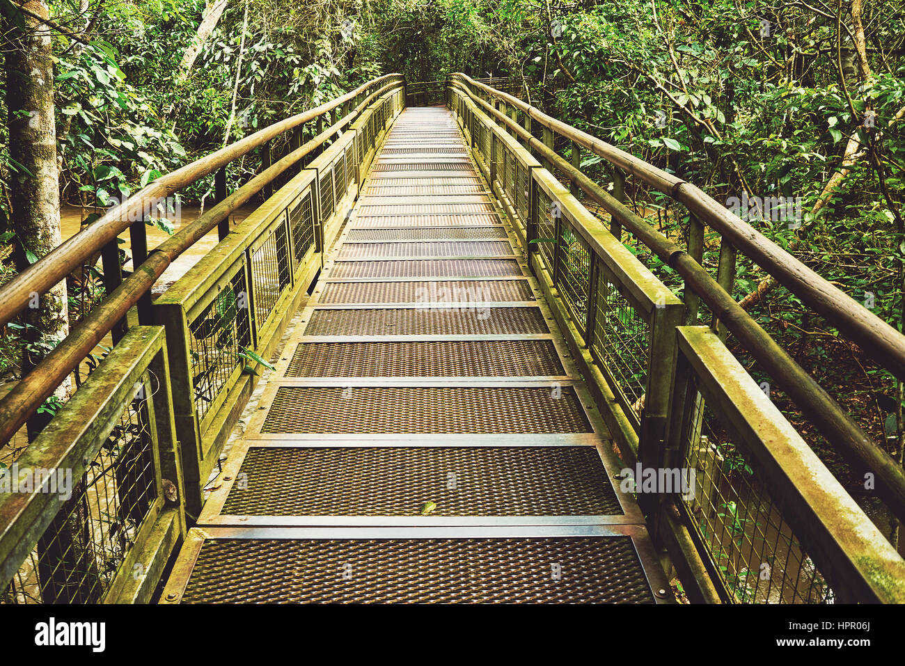 Gehweg in Dschungel Dschungel Regenwald, tropischen Wald mit Farn und üppiger Vegetation, Naturlehrpfad seitlich Argentinien Iguazu Falls Instagram Vintage Stockfoto
