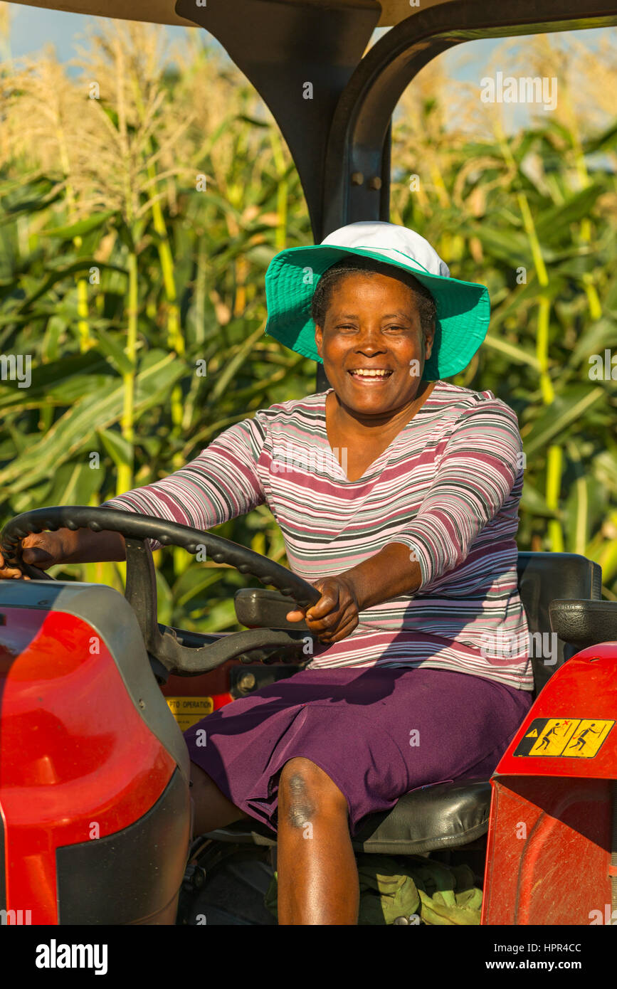 Eine lächelnde Frau sitzt auf einem Traktor in Simbabwe. Stockfoto