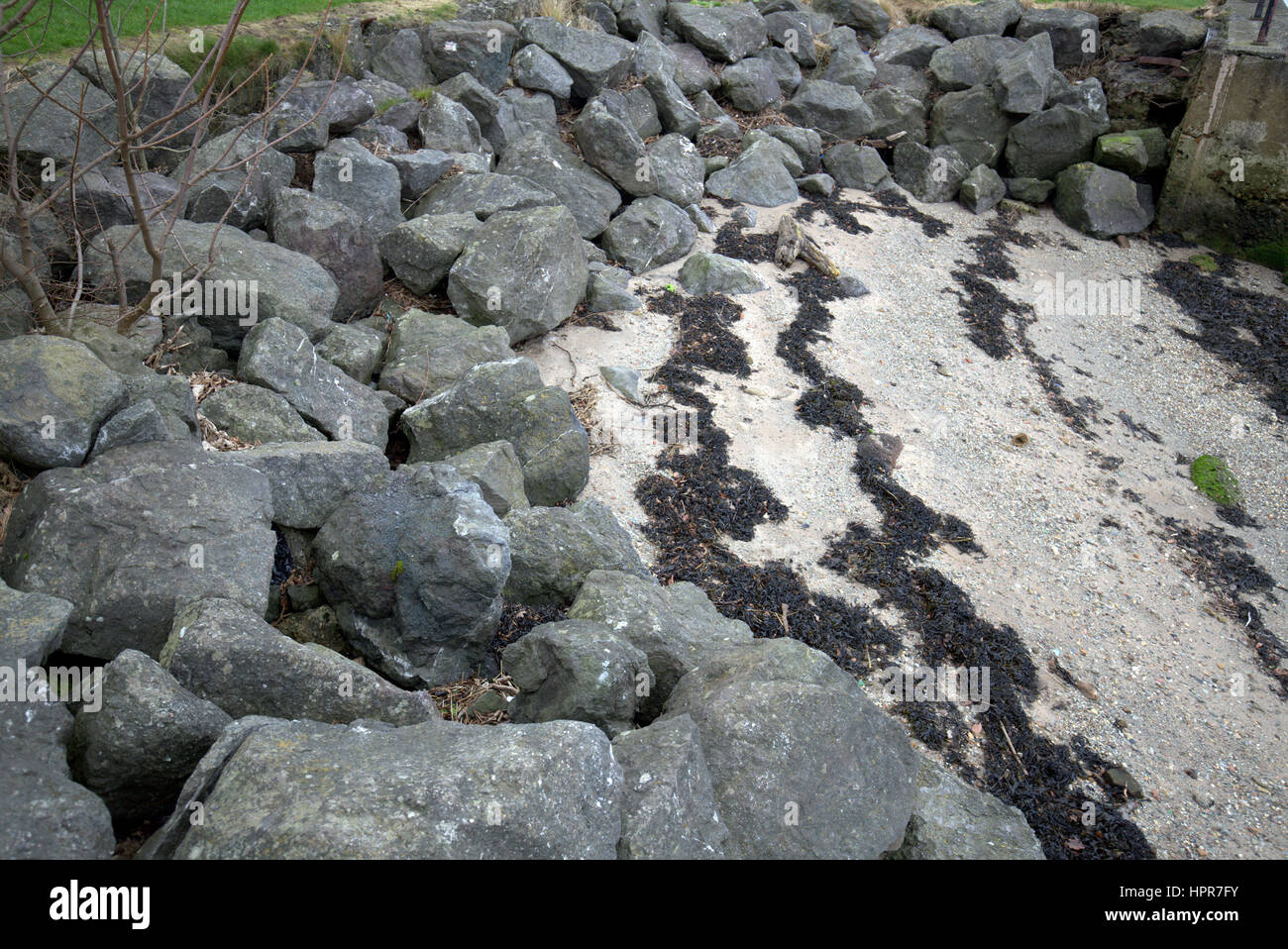 Küstenschutz gegen Erosion Dmnbarton Schottland Stockfoto