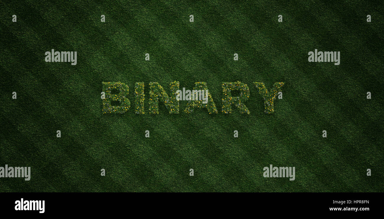 Binär - frisches Grass Briefe mit Blumen und Löwenzahn - 3D gerenderten Lizenzgebühren frei Bild. Einsetzbar für Online-Bannerwerbung und Direct-Mailings. Stockfoto