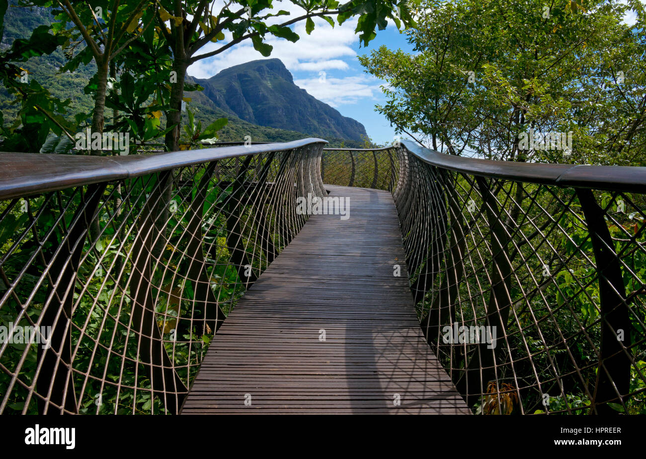 Kirstenbosch National Botanical Garden, Kapstadt, Südafrika Stockfoto