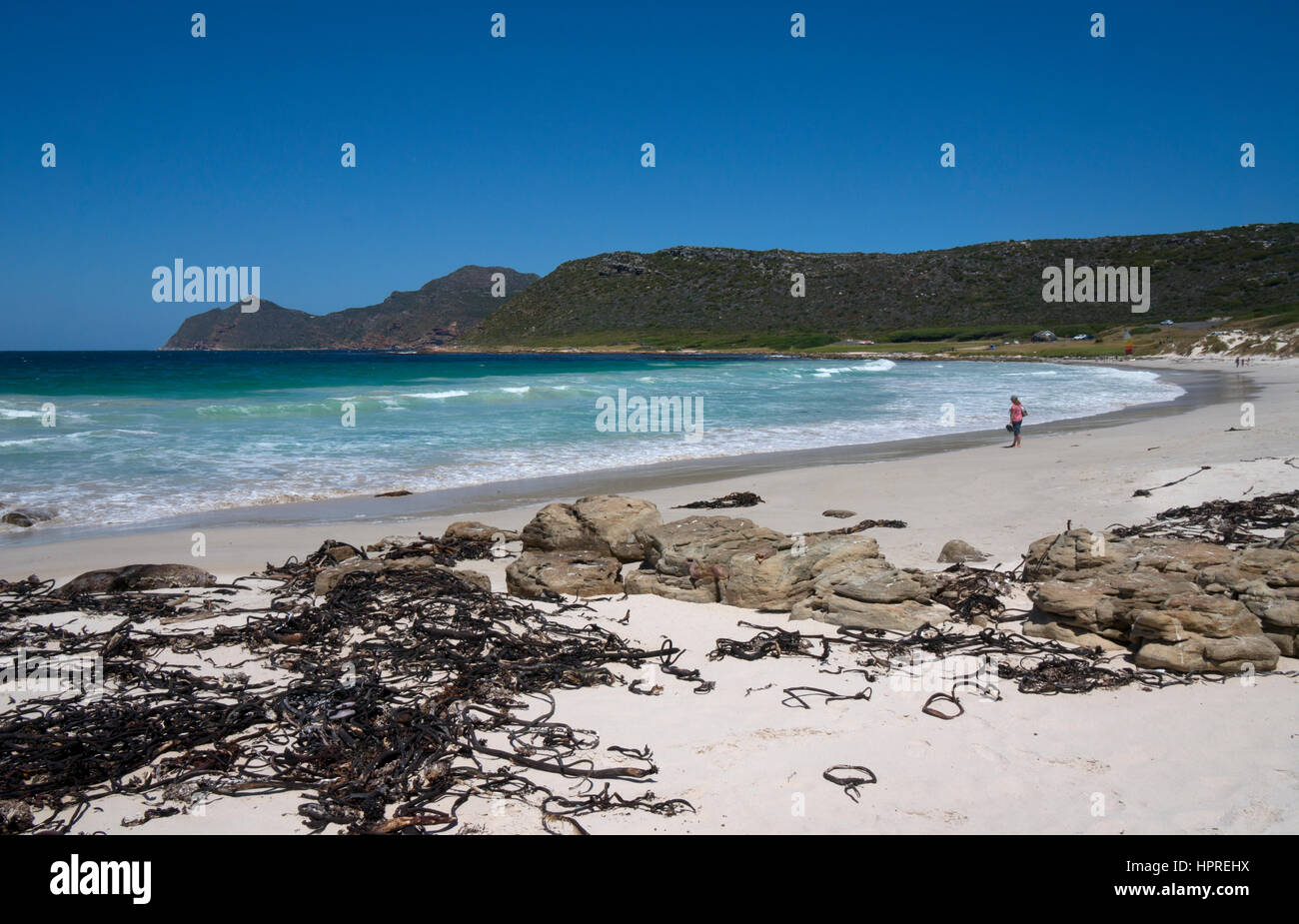 Buffets Bay Strand Kap Halbinsel Kap Naturreservat in Südafrika Stockfoto