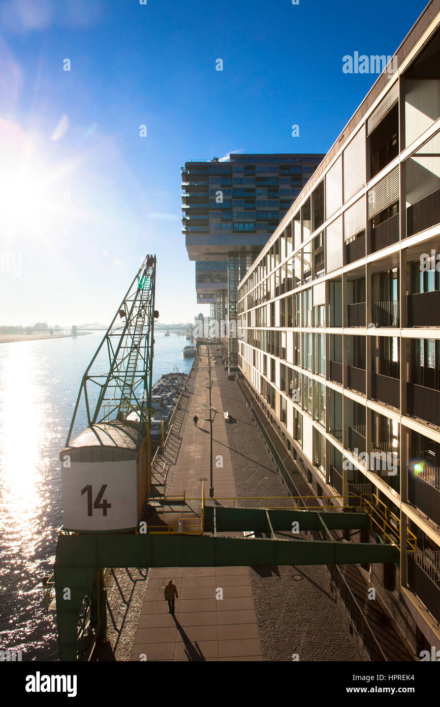 Europa, Deutschland, Köln, die Kran-Häuser am Hafen Rheinau Architekten Hadi Teherani, Rhein. Stockfoto