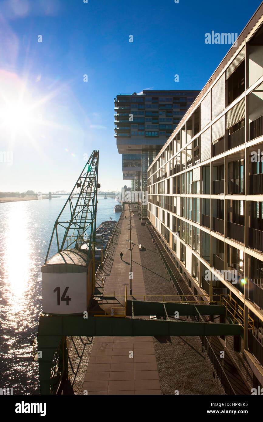 Europa, Deutschland, Köln, die Kran-Häuser am Hafen Rheinau Architekten Hadi Teherani, Rhein. Stockfoto