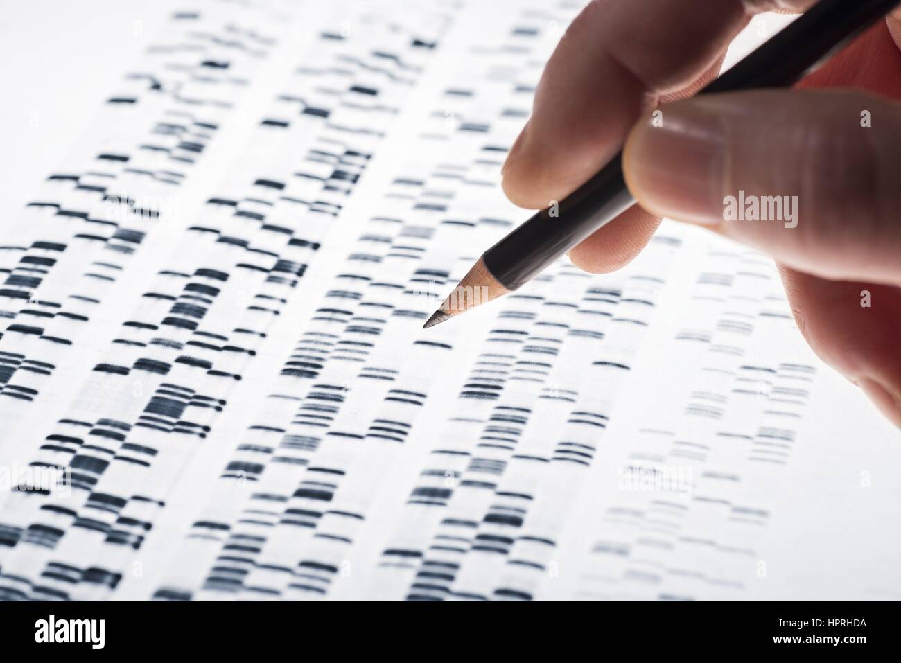 Forscher untersuchten DNA-Gel, das in Genetik, Medizin, Biologie, Pharmaforschung und Forensik verwendet wird. | weltweite Nutzung Stockfoto