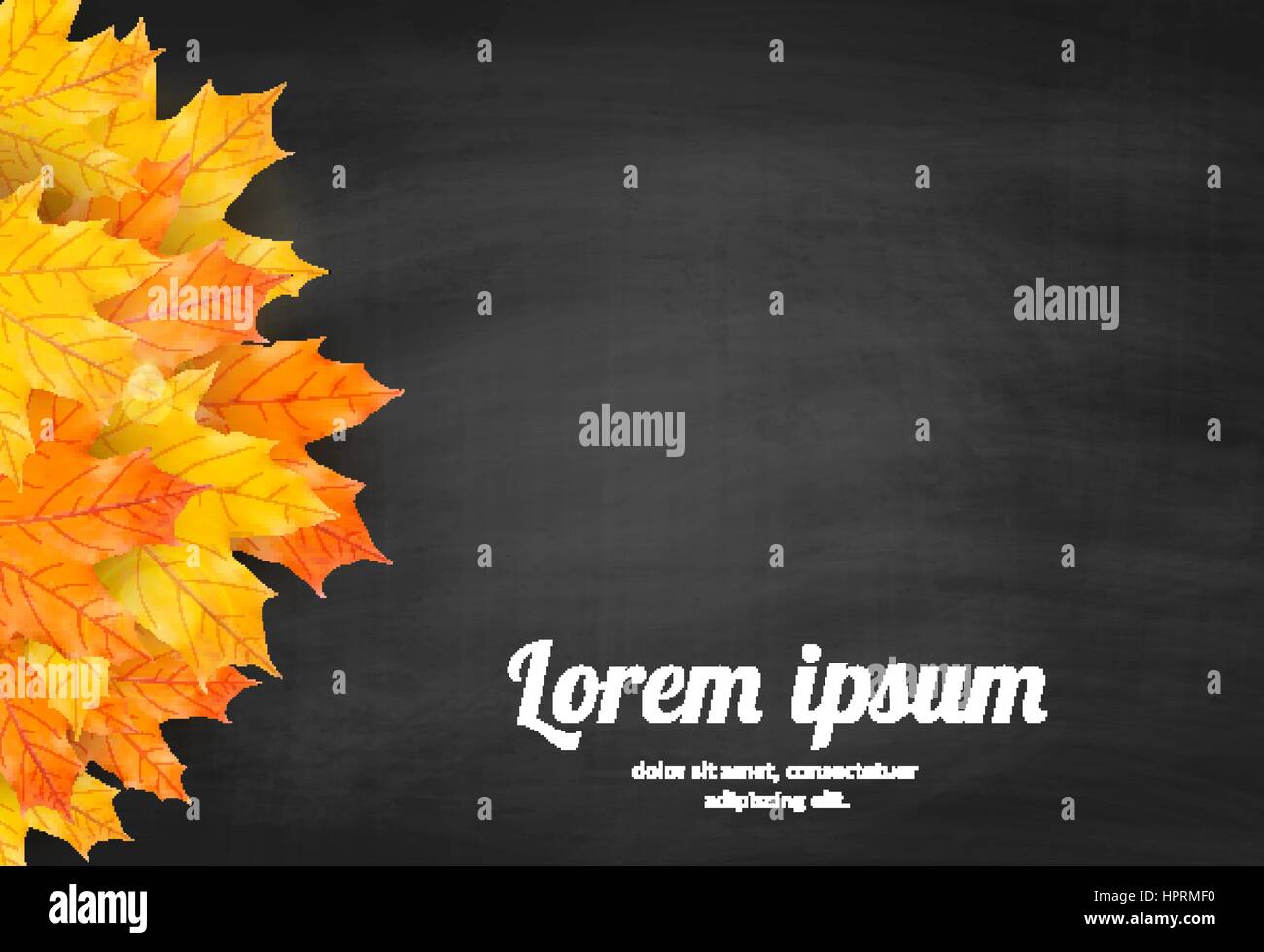 Herbst Hintergrund mit realistischen Herbst Ahorn Blätter auf Tafel. Zurück zu Schule Tafel Banner Vektor Stock Vektor