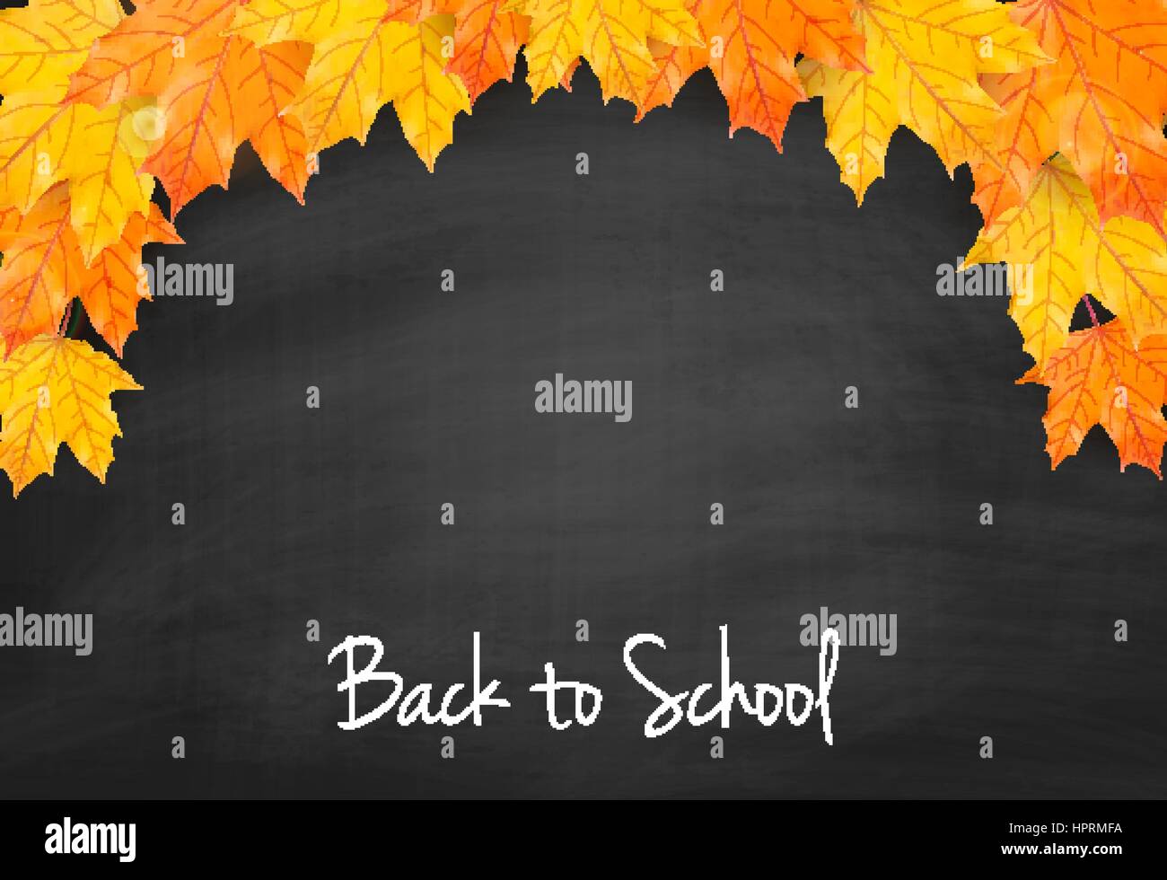 Herbst Hintergrund mit realistischen Herbst Ahorn Blätter auf Tafel. Zurück zu Schule Tafel Banner Vektor Stock Vektor