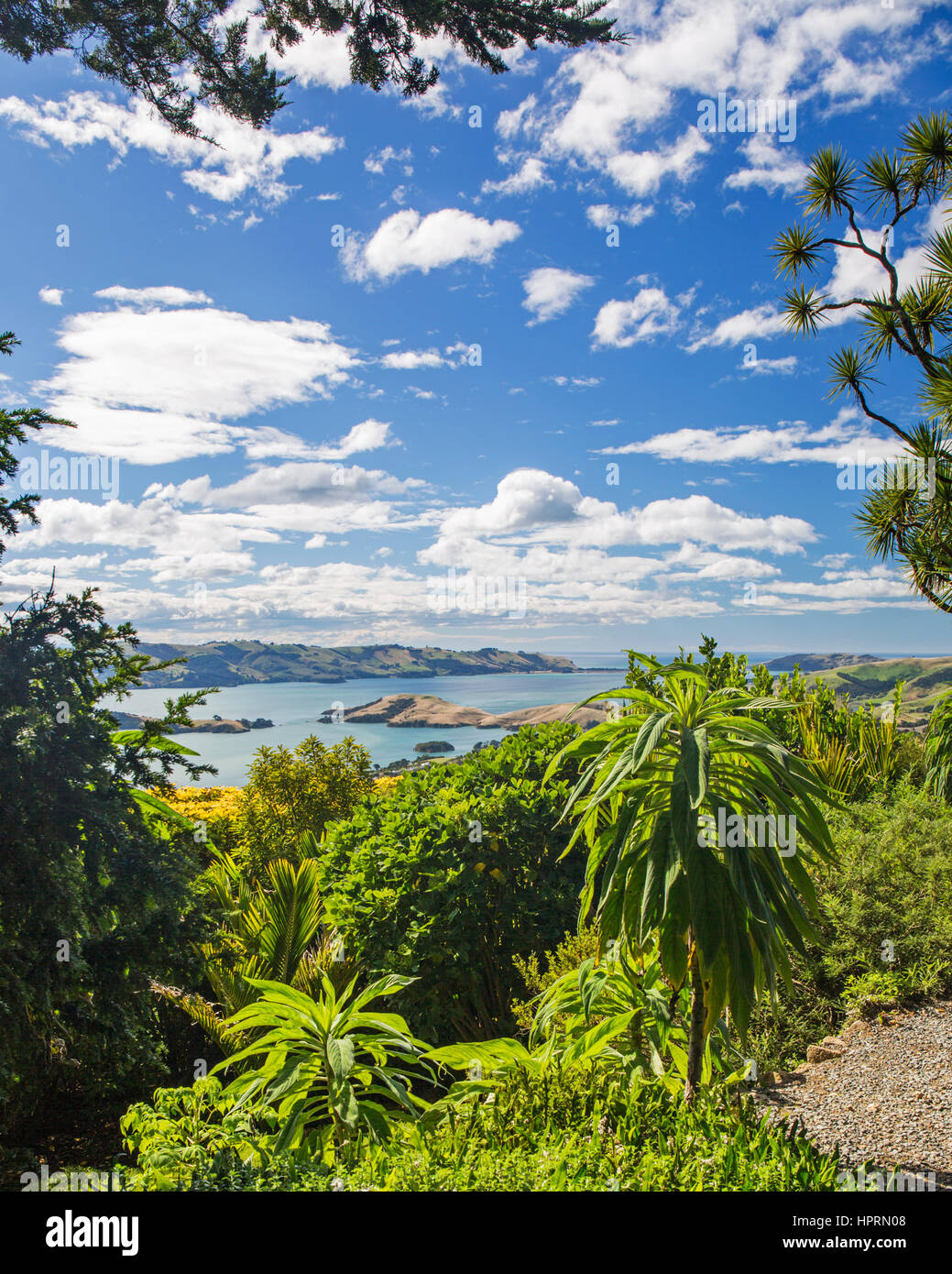 Dunedin, Otago, Neuseeland. Blick über Otago Harbour aus den Hügel Gärten auf Larnach Castle, Otago Peninsula. Stockfoto