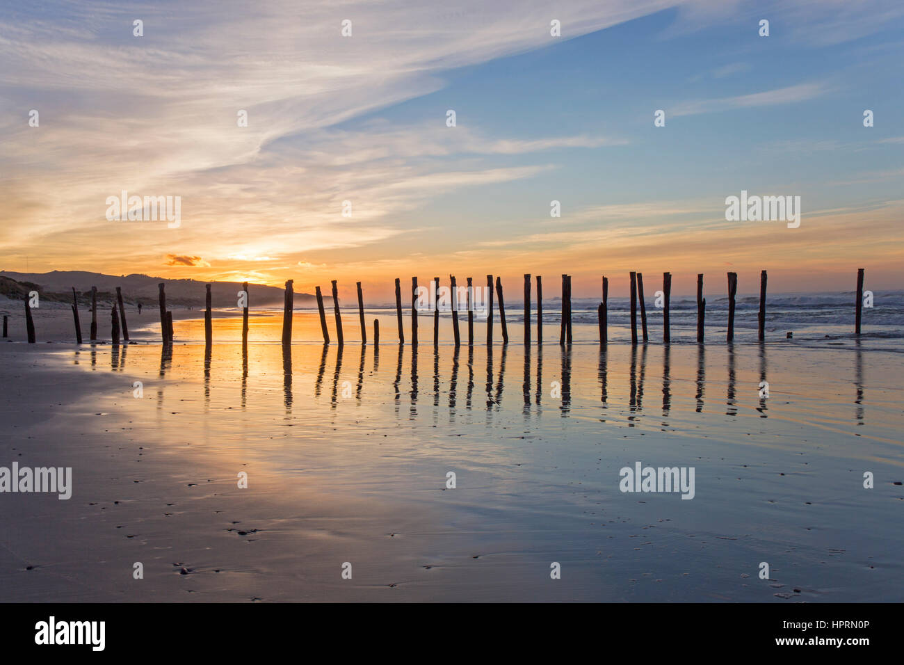 Dunedin, Otago, Neuseeland. Blick entlang St Clair Beach bei Sonnenaufgang, legendäre Reihe von Holzpfählen spiegelt sich im Wasser. Stockfoto