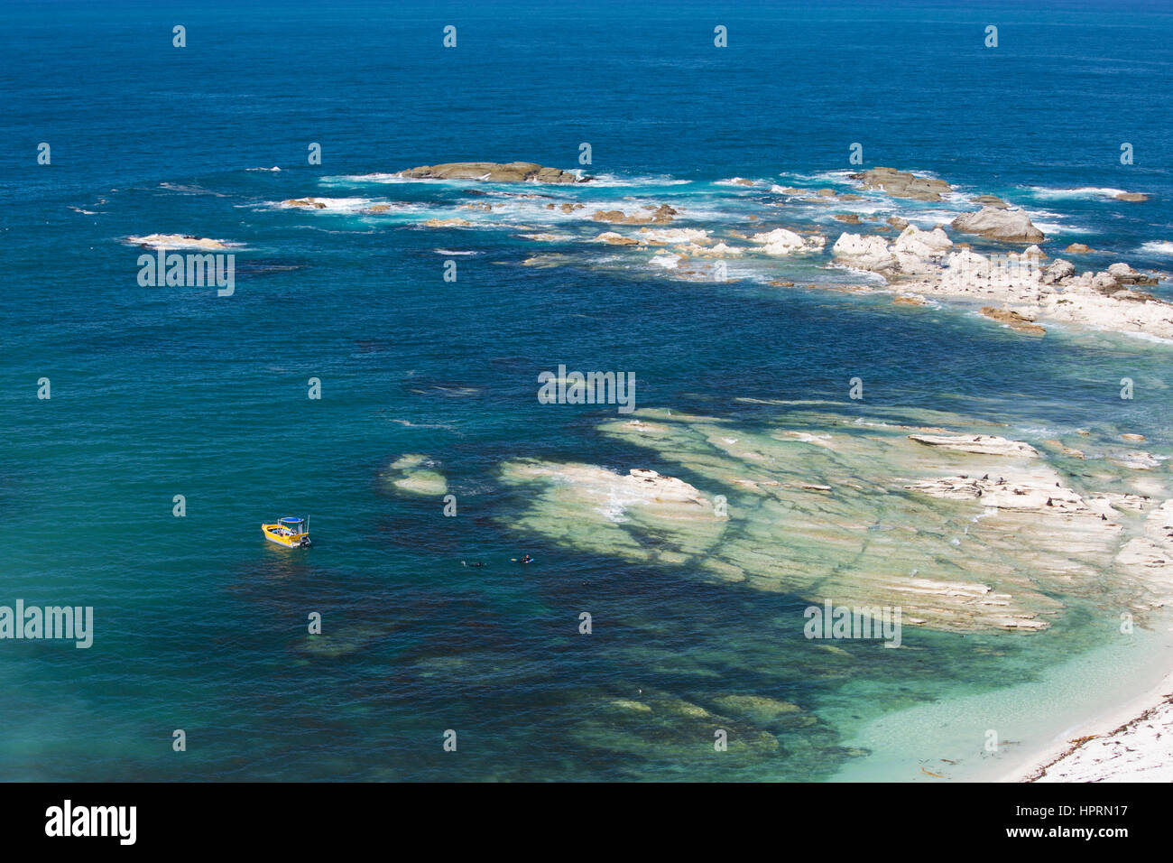 Kaikoura, Neuseeland. Klippe Blick von Kaikoura Halbinsel Gehweg über der Bucht von Walfängern, Besucher mit Robben schwimmen. Stockfoto