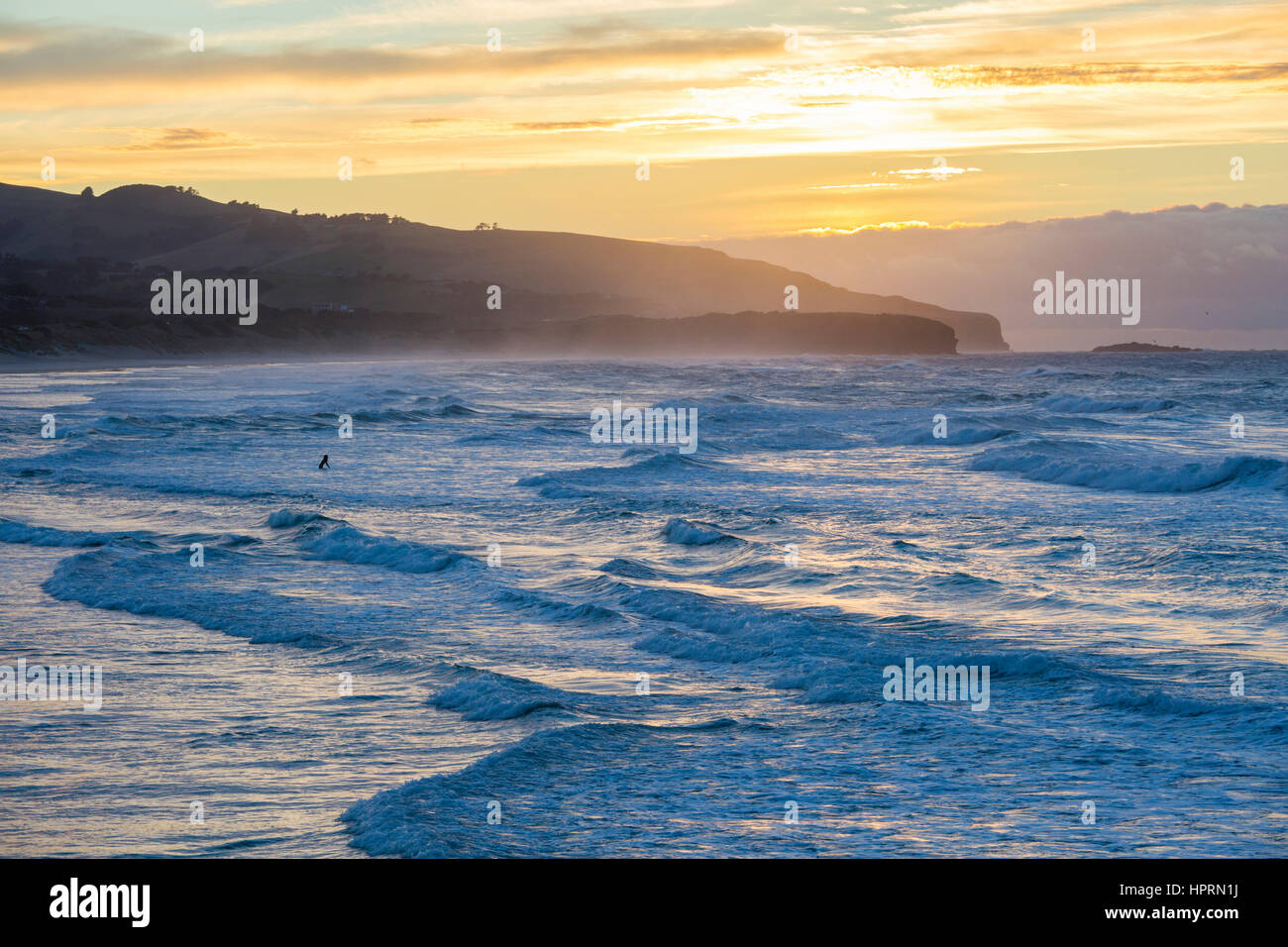 Dunedin, Otago, Neuseeland. Einsamer Surfer trotzen die stürmischen Gewässern des Pazifischen Ozeans vor St Clair Beach, Sonnenaufgang. Stockfoto