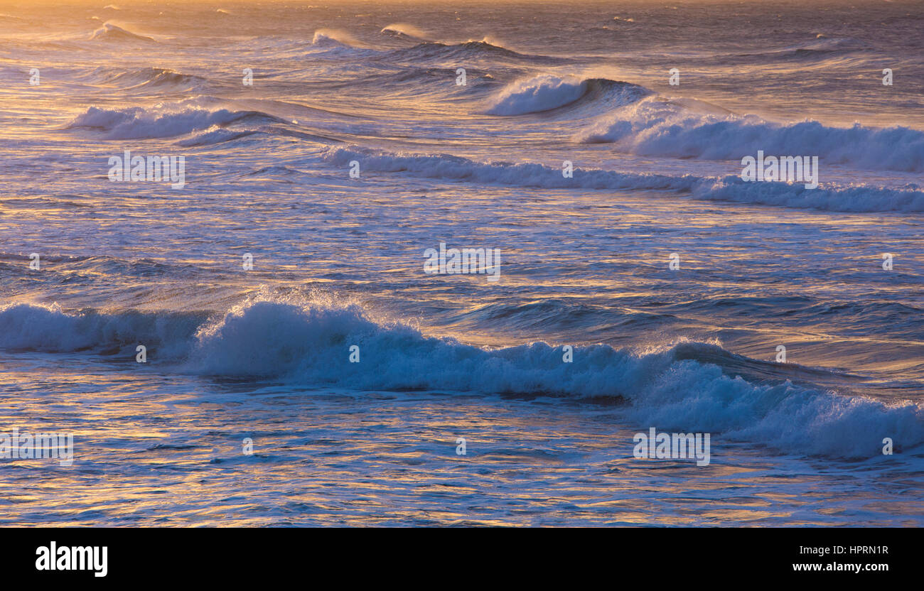 Dunedin, Otago, Neuseeland. Mächtige Wellen im Pazifischen Ozean vor St Clair Beach, Sonnenaufgang. Stockfoto