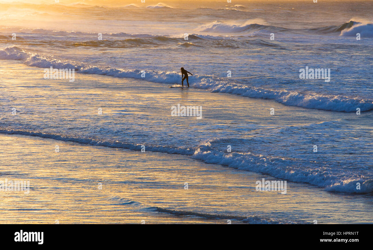 Dunedin, Otago, Neuseeland. Einsamer Surfer Wellen reiten, vom Pazifischen Ozean aus St Clair Beach, Sonnenaufgang, goldenes Licht spiegelt sich im Wasser. Stockfoto