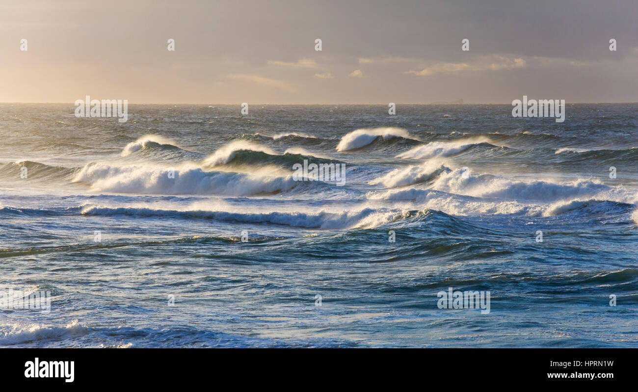 Dunedin, Otago, Neuseeland. Die stürmischen Gewässern des Pazifischen Ozeans off St Clair Beach. Stockfoto