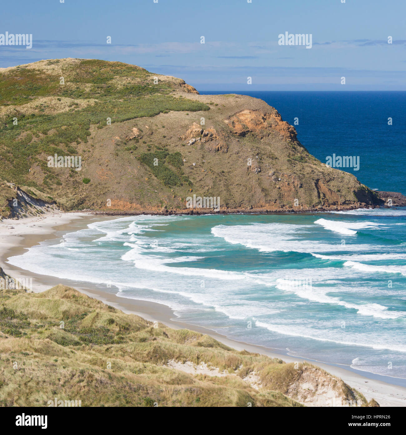 Dunedin, Otago, Neuseeland. Blick über den Pazifischen Ozean an der Otago Halbinsel Sandfly Bay. Stockfoto