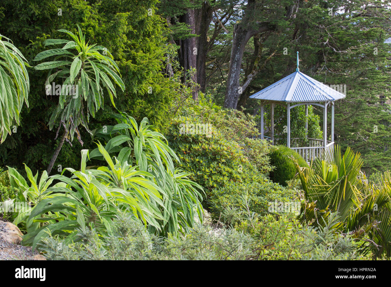 Dunedin, Otago, Neuseeland. Hügel Belvedere in der Südsee-Garten am Larnach Castle, Otago Peninsula. Stockfoto