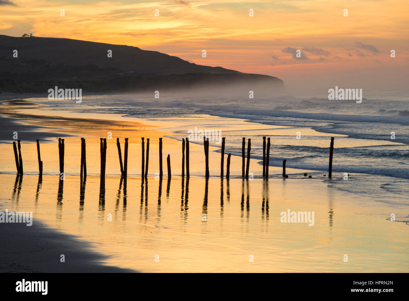 Dunedin, Otago, Neuseeland. Blick über St Clair Beach bei Sonnenaufgang, legendäre Reihe von Holzpfählen spiegelt sich im Wasser. Stockfoto