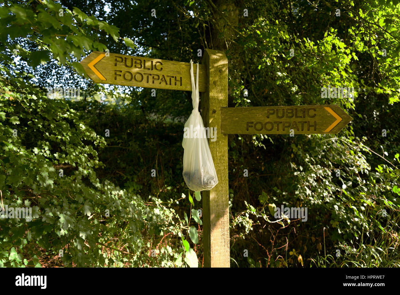 Dog Poo Taschen Links hängend, später abgeholt werden. Stockfoto