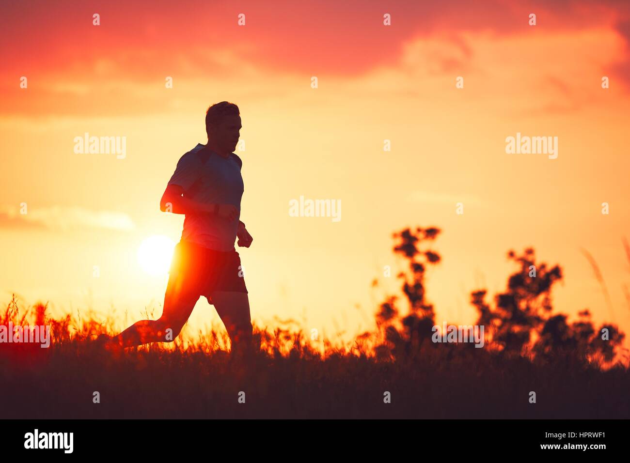 Silhouette des Läufers. Outdoor-cross-country Rennen. Sportlicher junger Mann läuft während der goldenen Sonnenuntergang in der Natur. Stockfoto