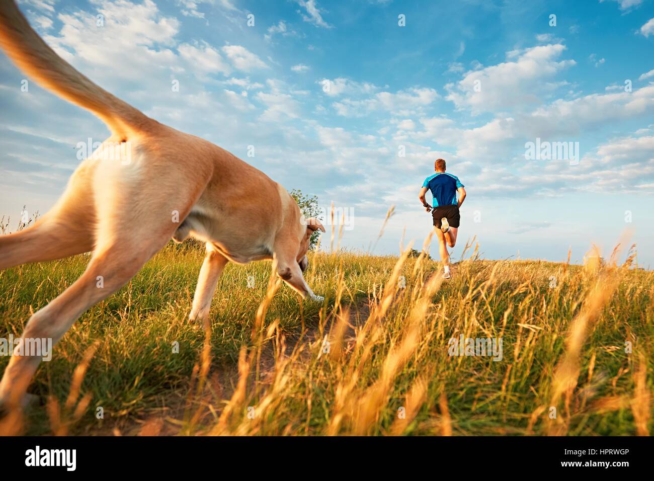 Sport-Lifestyle mit Hund. Sportlicher junger Mann und Labrador Retriever laufen auf dem Hügel außerhalb der Stadt. Stockfoto