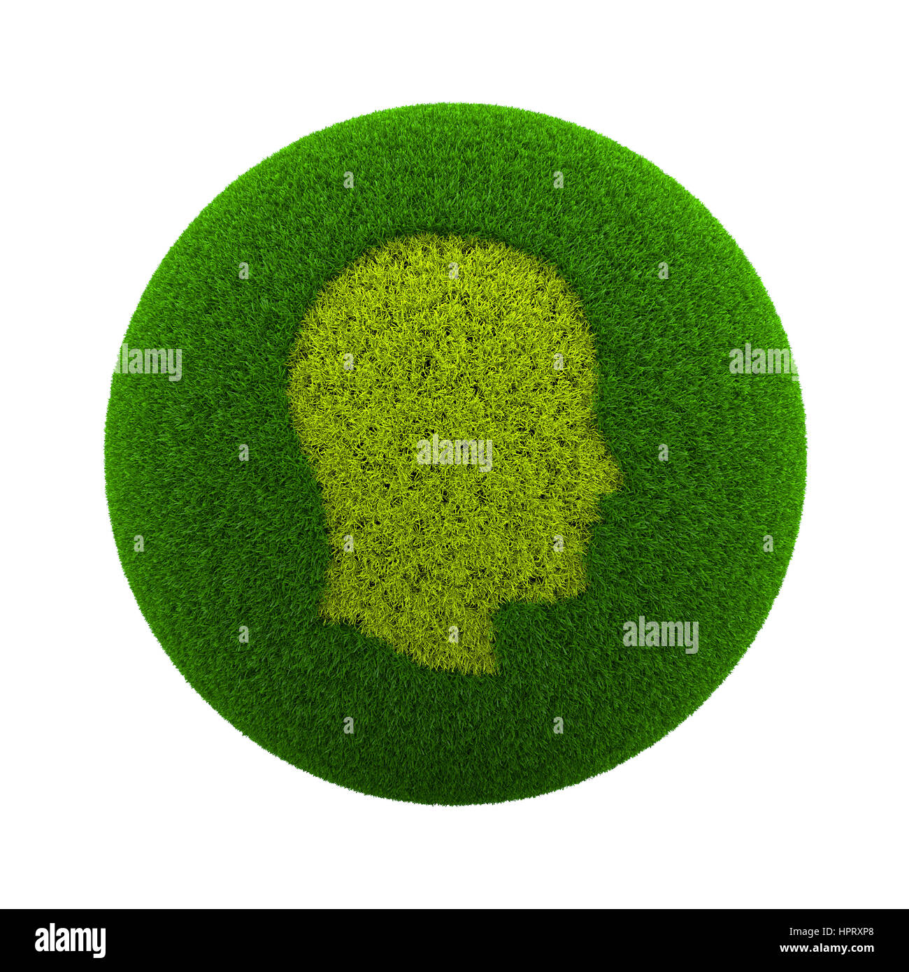 Green Globe mit Rasen geschnitten in der Form eines menschlichen Kopfes Profil 3D Illustration Isolated on White Background Stockfoto
