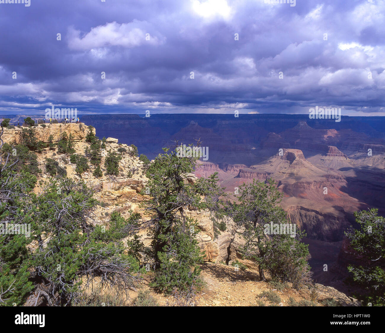 Südrand des Grand Canyon, Grand Canyon National Park, Arizona, Vereinigte Staaten von Amerika Stockfoto