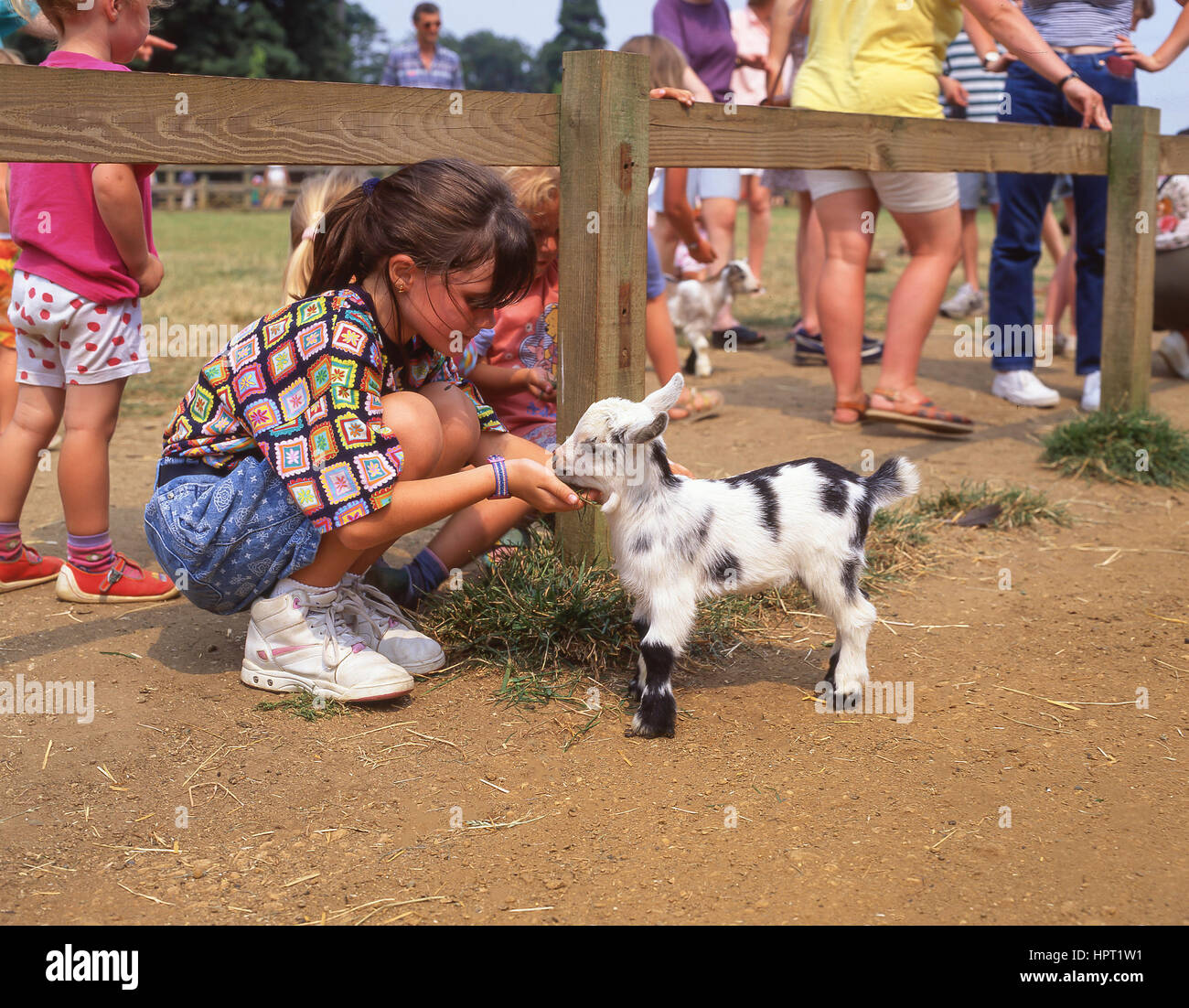 Junges Mädchen Fütterung Zicklein im Kinder Bauernhof, Cotswold Wildlife Park & Gardens, Burford, Wiltshire, England, Vereinigtes Königreich Stockfoto
