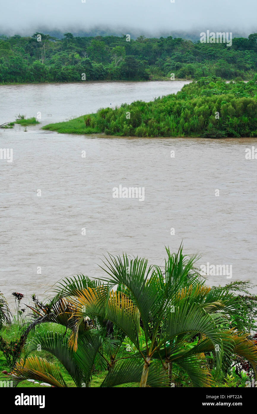 Napo Fluss. Amazonia. Provinz Napo.  Ecuador Stockfoto