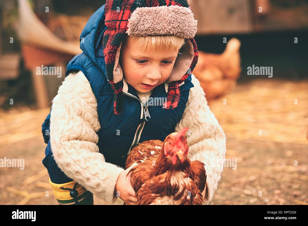 Kleiner Junge hält die Henne auf dem Bauernhof Stockfoto