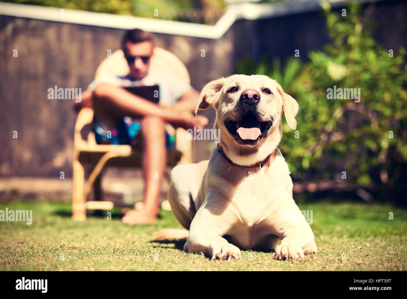 Mann ist entspannend auf den Garten mit seinem Hund. Stockfoto