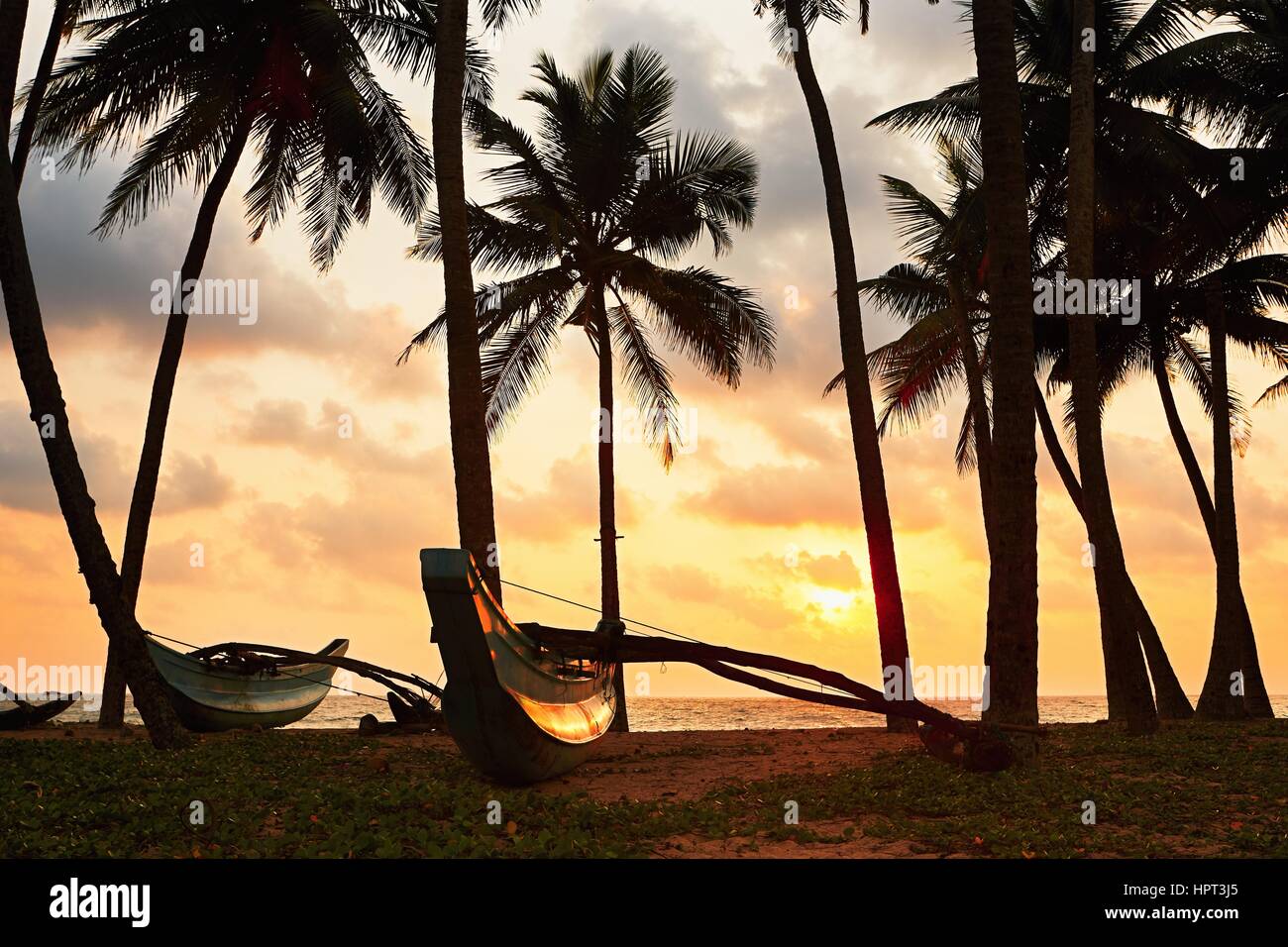 Silhouette der Fischerboote unter Palmen. Idyllischen Sonnenuntergang am Strand in der Nähe von Hikkaduwa in Sri Lanka. Stockfoto