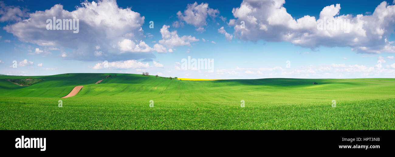 weite grüne Feld und blauer Himmel mit Straße in Mitte Stockfoto