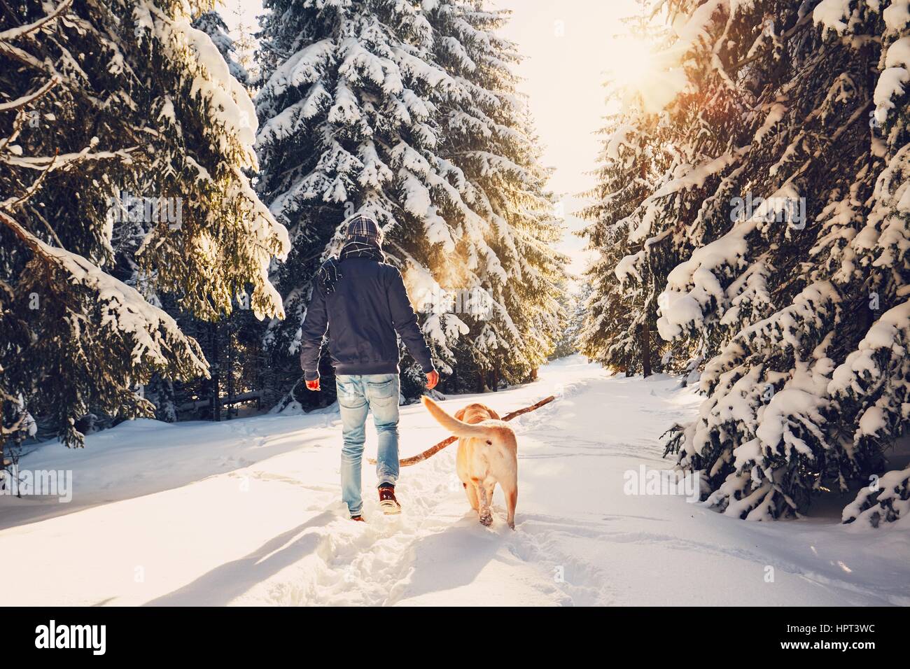 Reise nach Winter Natur. Junger Mann in warme Kleidung ist mit seinem Labrador im verschneiten Wald Fuß. Stockfoto