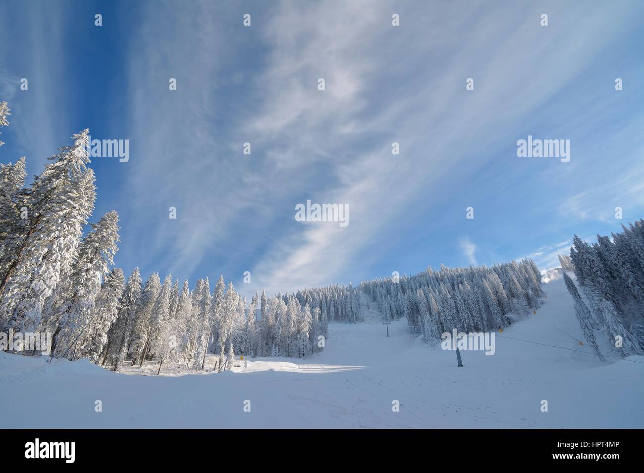 Mountain Ski Resort, Poiana Brasov, Brasov, Rumänien, Transsilvanien Stockfoto