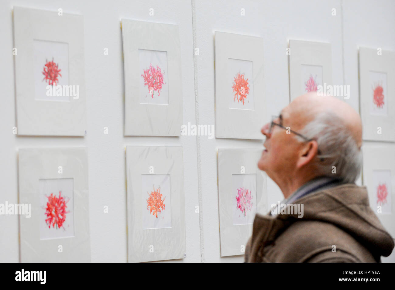 London, UK. 24. Februar 2017. Mitglieder der Öffentlichkeit anzeigen die Arbeit von einigen der weltweit besten Botanischen Künstler durch eine Darstellung der bisher unveröffentlichte Arbeit an der RHS London botanische Kunst Show Statt an diesem Wochenende bietet Showkünstler aus Großbritannien und internationaler Ebene, einschließlich USA, Italien, Japan, Neuseeland und Südkorea. Bildnachweis: Stephen Chung/Alamy Live-Nachrichten Stockfoto