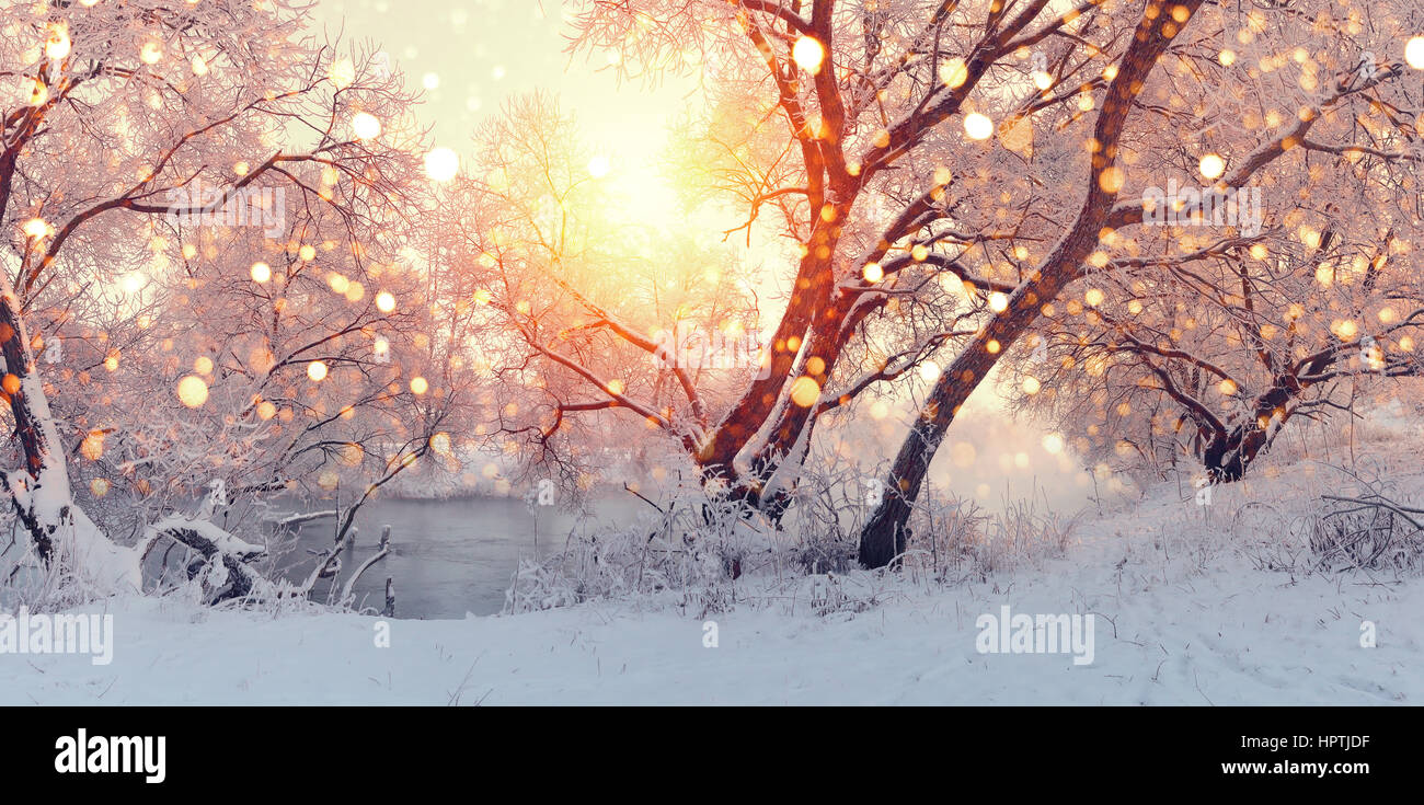 Sonnige Weihnachtsmorgen. Beleuchten Sie Sonne Schneeflocken. Schneefall am Weihnachten Morgen. Frostigen Winter Hintergrund Stockfoto
