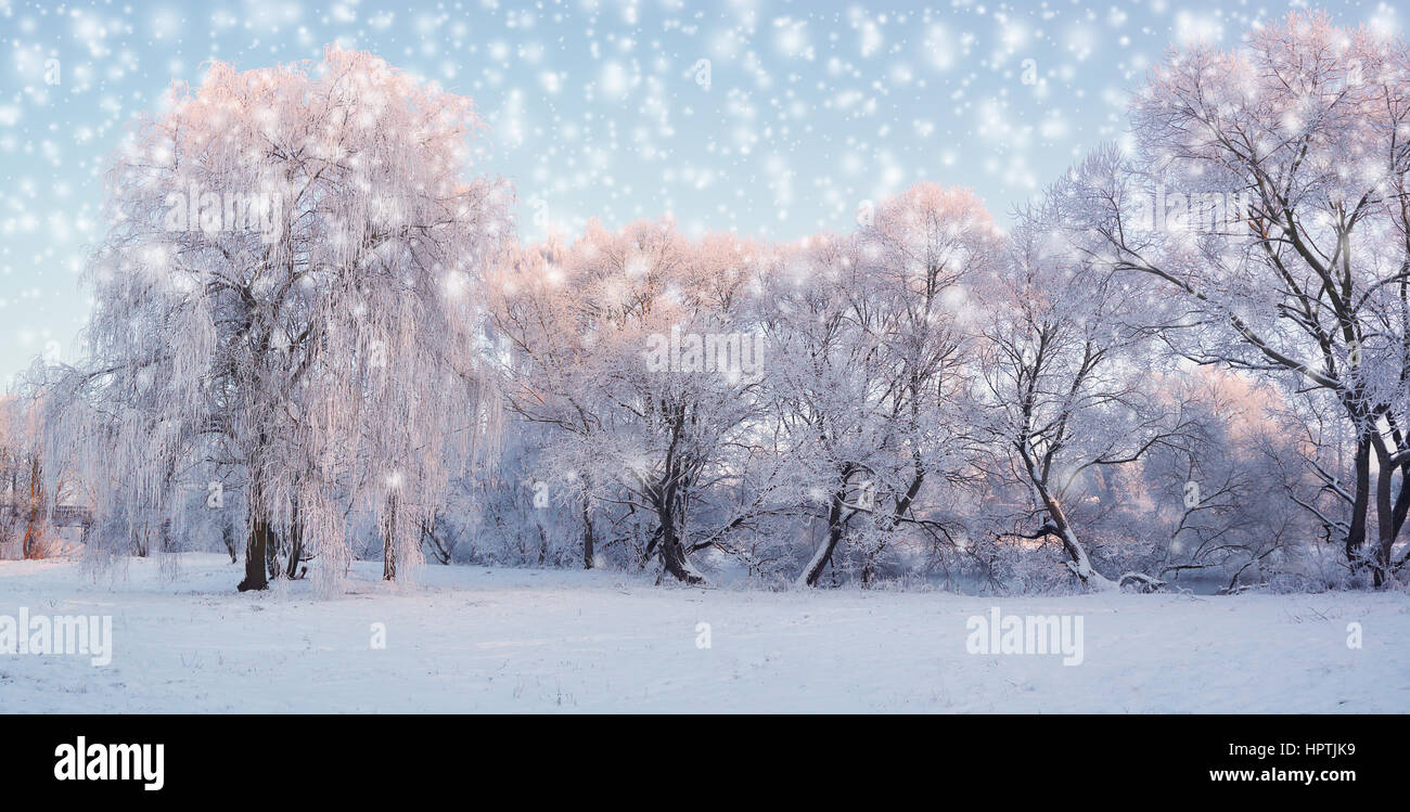Weihnachten-Schneelandschaft. Schneefall im Winter morgens. Weihnachtsmorgen im Central park Stockfoto