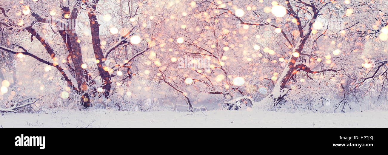 Weihnachtsmorgen im Central Park. Schneereiche Winter Hintergrund. Weihnachtsbeleuchtung auf Winter Hintergrund. Stockfoto