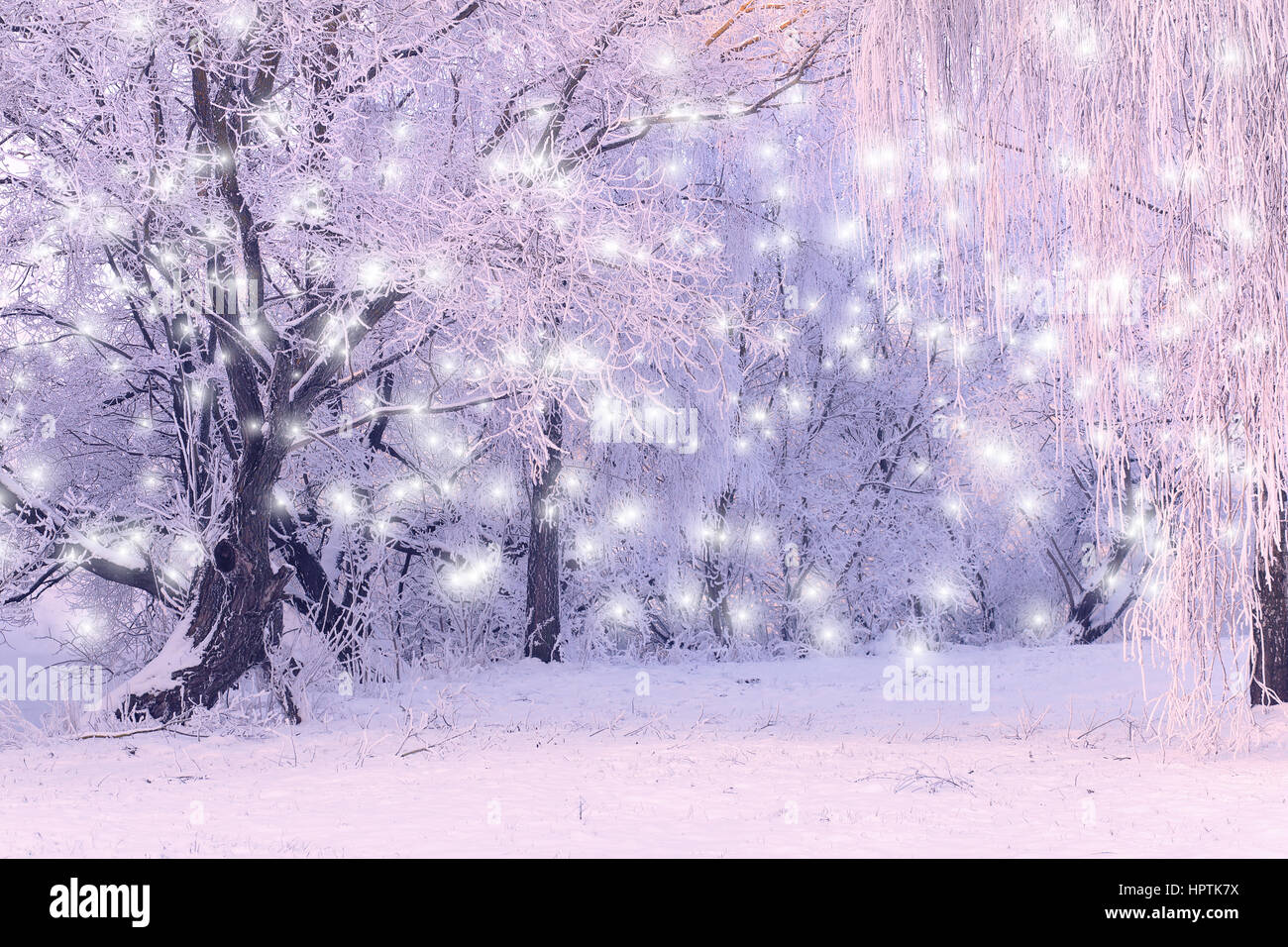 Weihnachten Hintergrund mit Schneeflocken. Landschaft der Wintertag. Bäume mit Raureif. Stockfoto