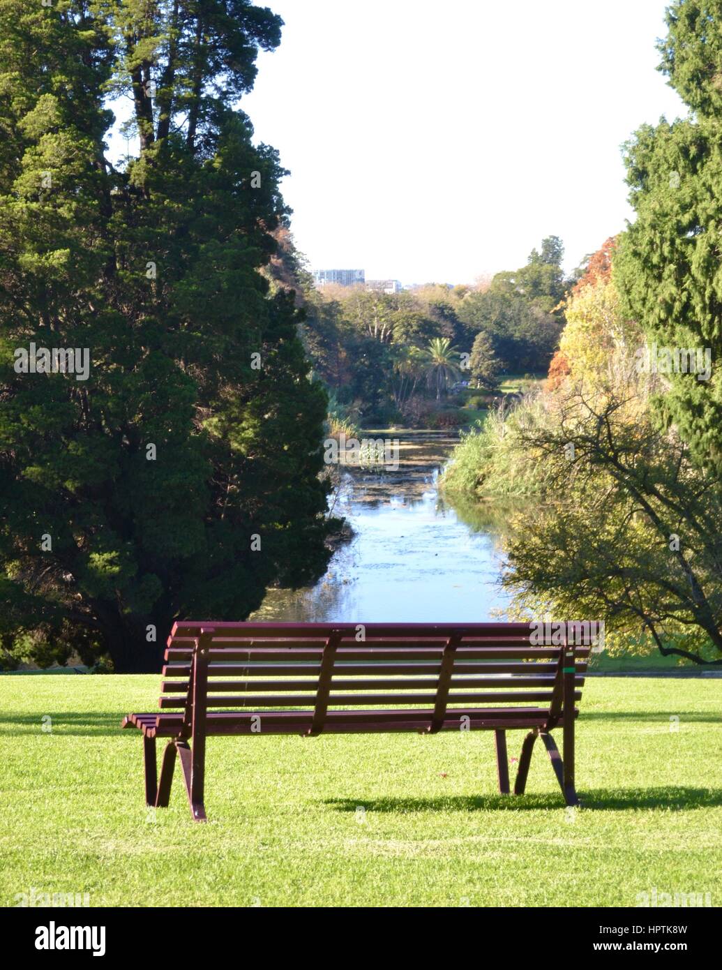 Leere Parkbank auf einem grasbewachsenen Hügel im park Stockfoto